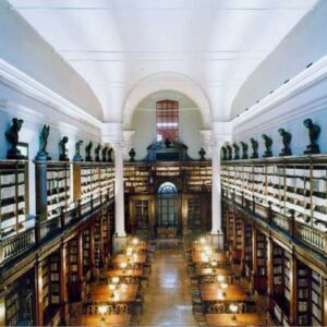 bolognauniversity